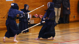 Exploring unusual fencing styles: From Kendo to Grima